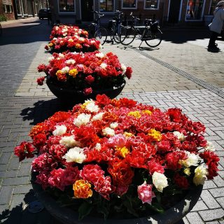 Beautiful flowers in the city of Dokkum #huaweip30pro #mobilephotography